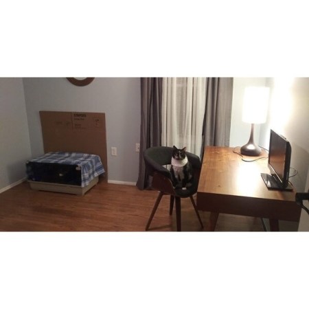 Customer image 49