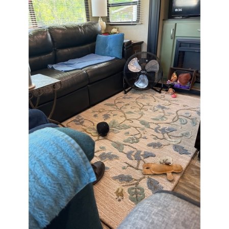 Customer image 12