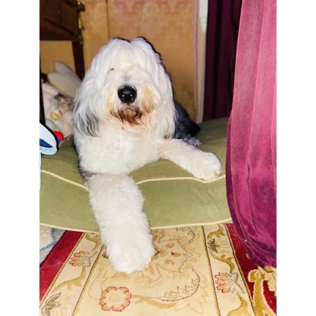 Customer image 4