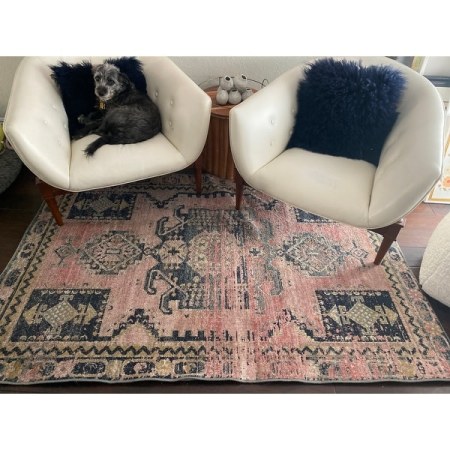 Customer image 1