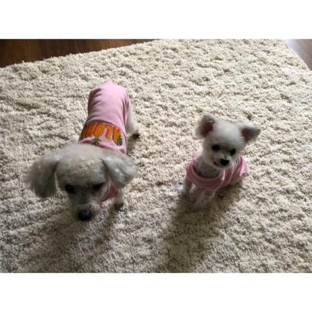 Customer image 683
