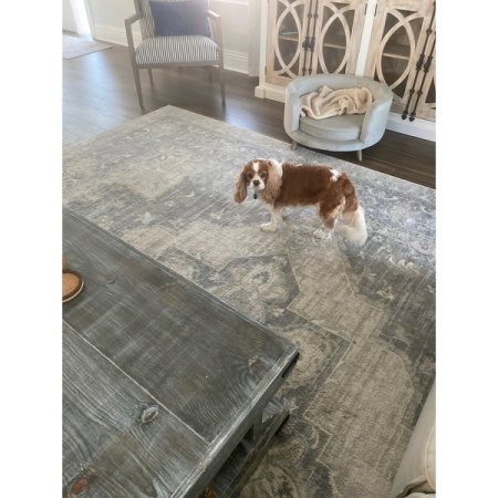 Customer image 73