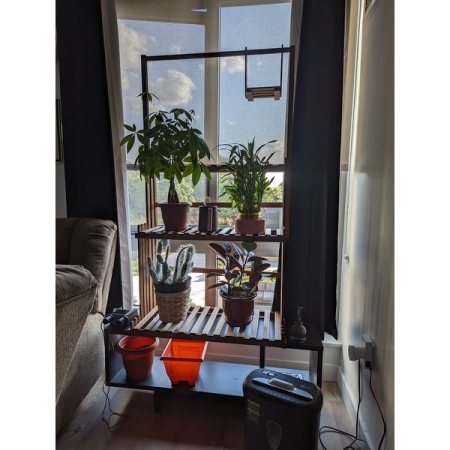 Customer image 8