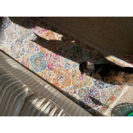 Customer image 1388
