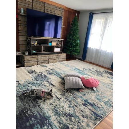 Customer image 17