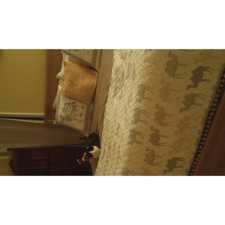 Customer image 327