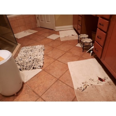 Customer image 4