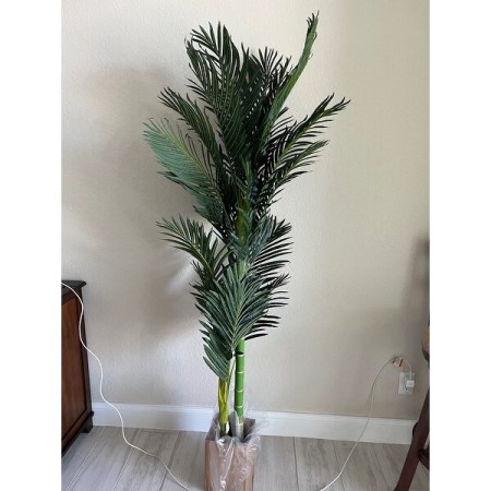 Customer image 1