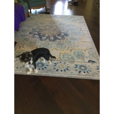 Customer image 159