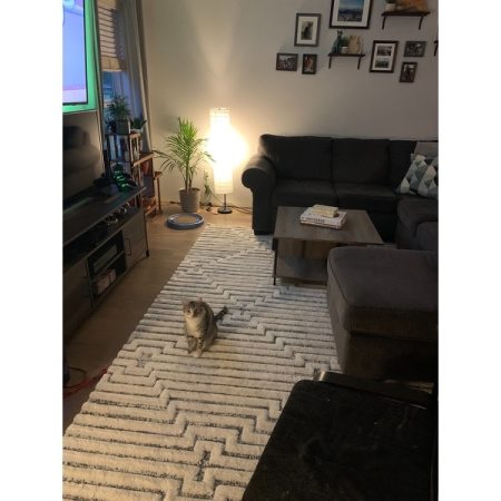 Customer image 52