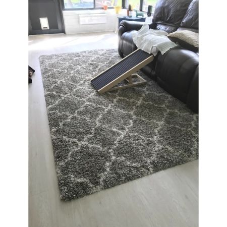 Customer image 355