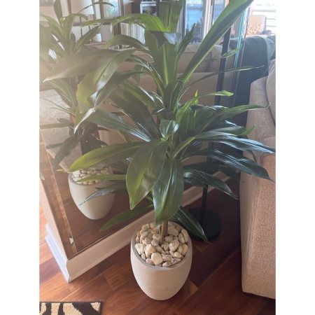 Customer image 41