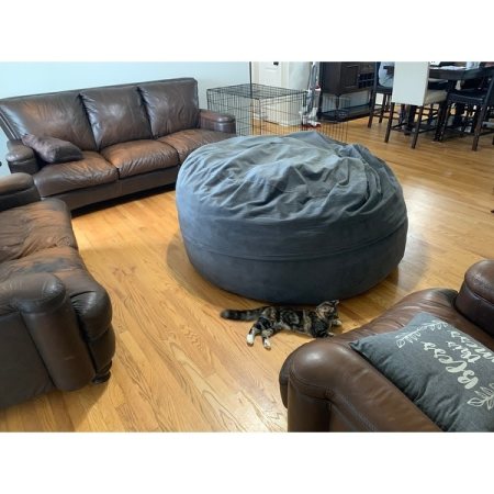 Customer image 165