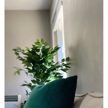 Customer image 20