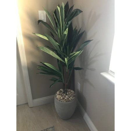 Customer image 72