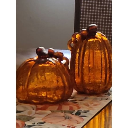 Customer image 6
