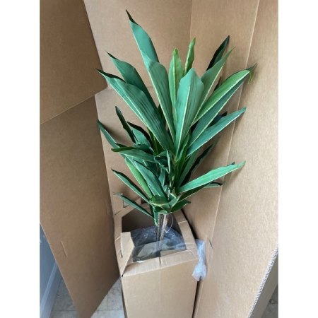 Customer image 16