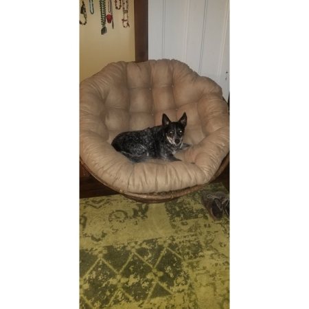 Customer image 16