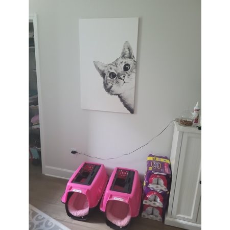 Customer image 1