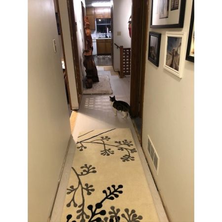 Customer image 41