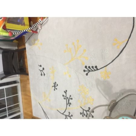 Customer image 45
