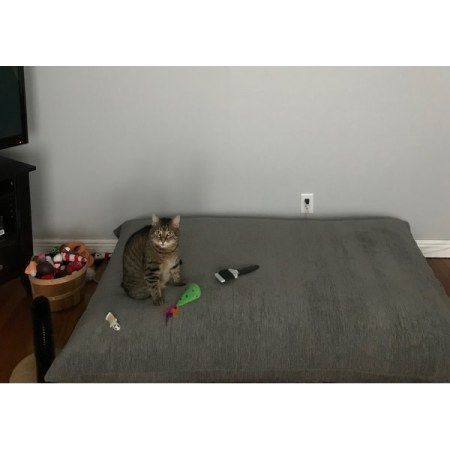 Customer image 22