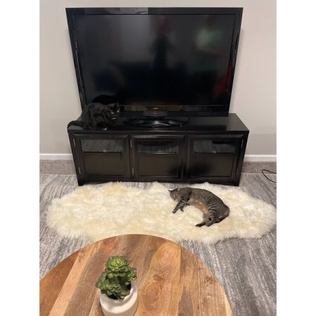 Customer image 117