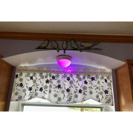 Customer image 46