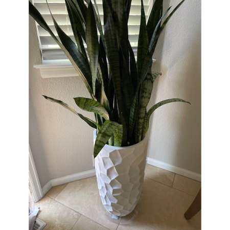 Customer image 5