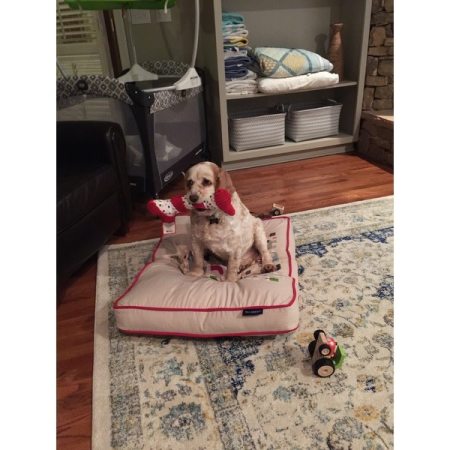 Customer image 1124