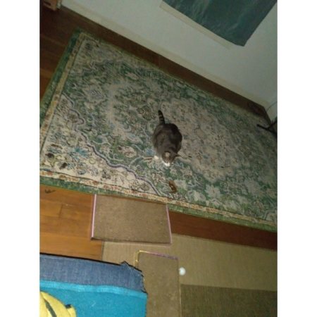 Customer image 153