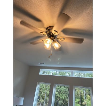 Customer image 6
