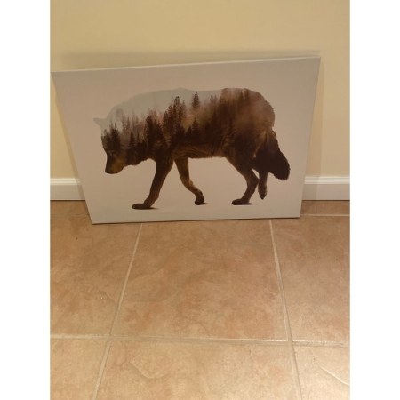 Customer image 1