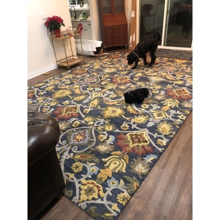 Customer image 256