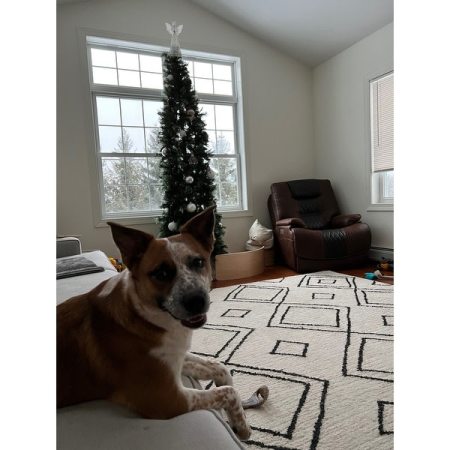 Customer image 6