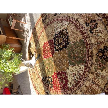 Customer image 54