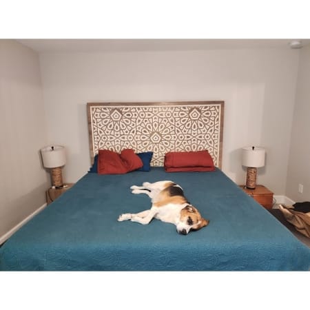 Customer image 1