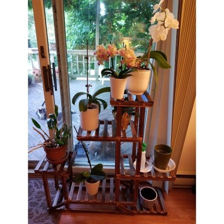 Customer image 2