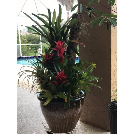 Customer image 4