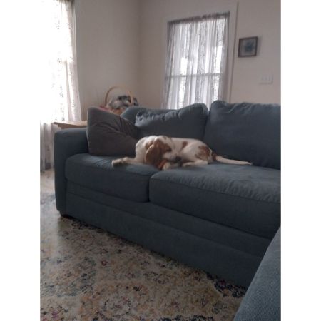 Customer image 97