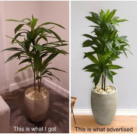 Customer image 9