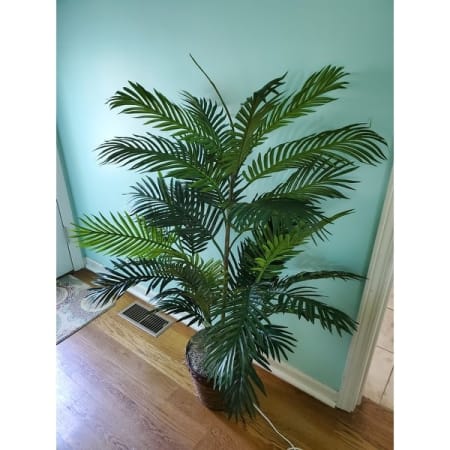 Customer image 24