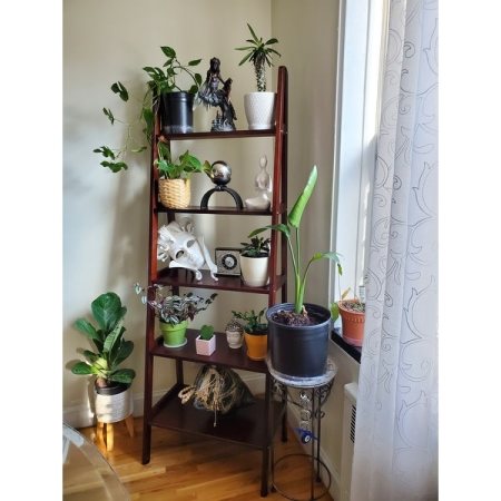 Customer image 14