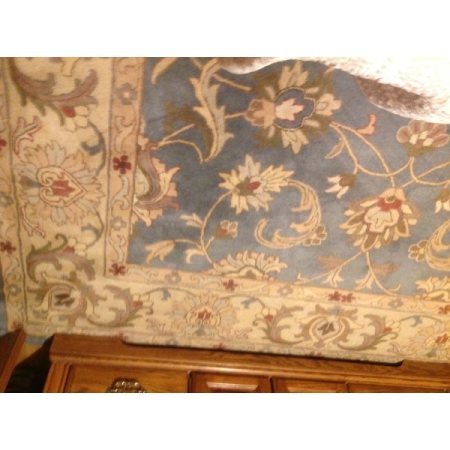 Customer image 81
