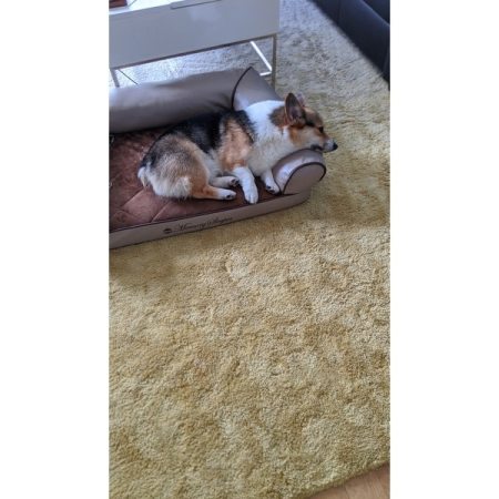 Customer image 120