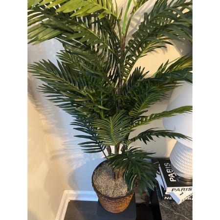 Customer image 5