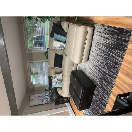 Customer image 266