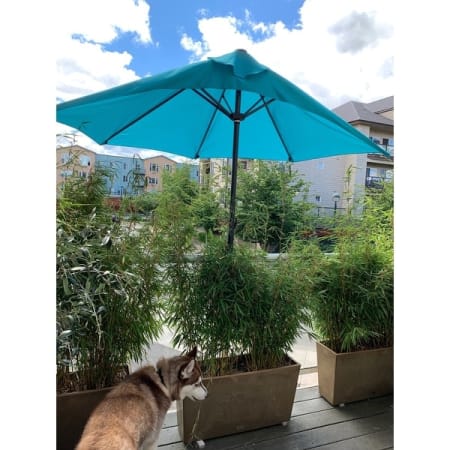 Customer image 78
