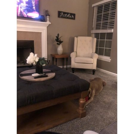 Customer image 19