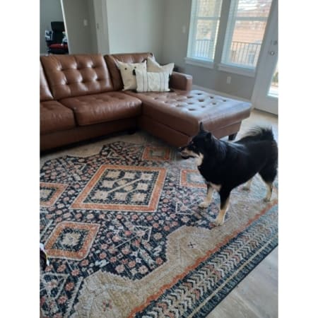 Customer image 75